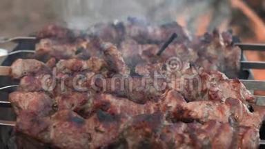 在户外的布拉齐尔，特写猪肉切碎烹饪。 烤架烤猪肉串